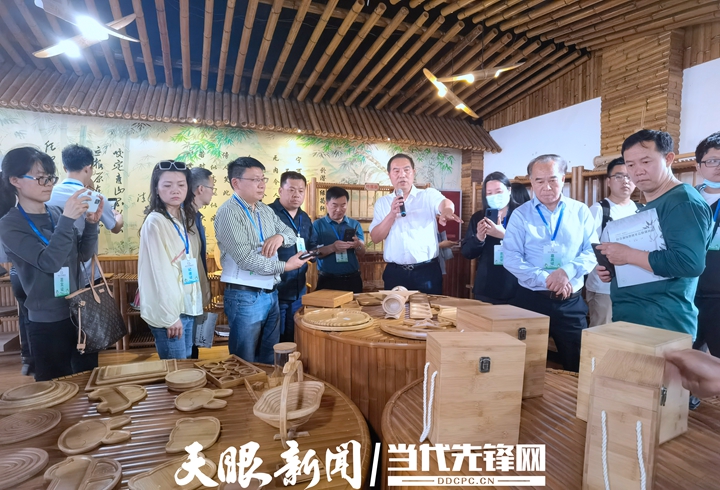 赤水竹韵 一根翠竹如何唤醒一座城的绿色繁荣